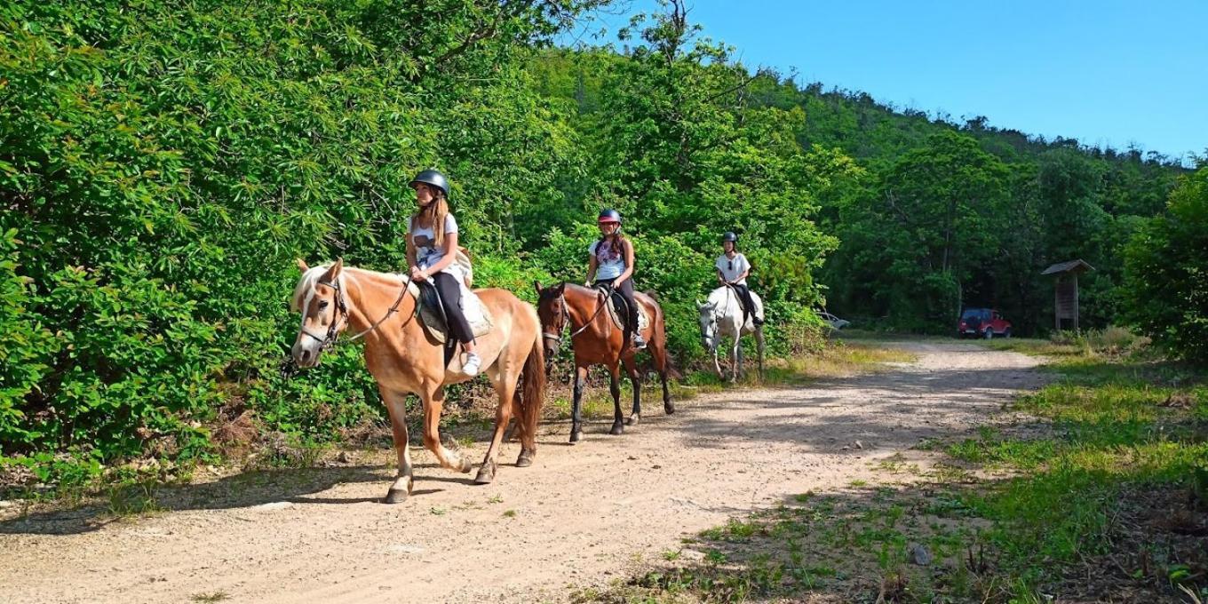 Agriturismo Poggio Al Tesoro Crespina Экстерьер фото