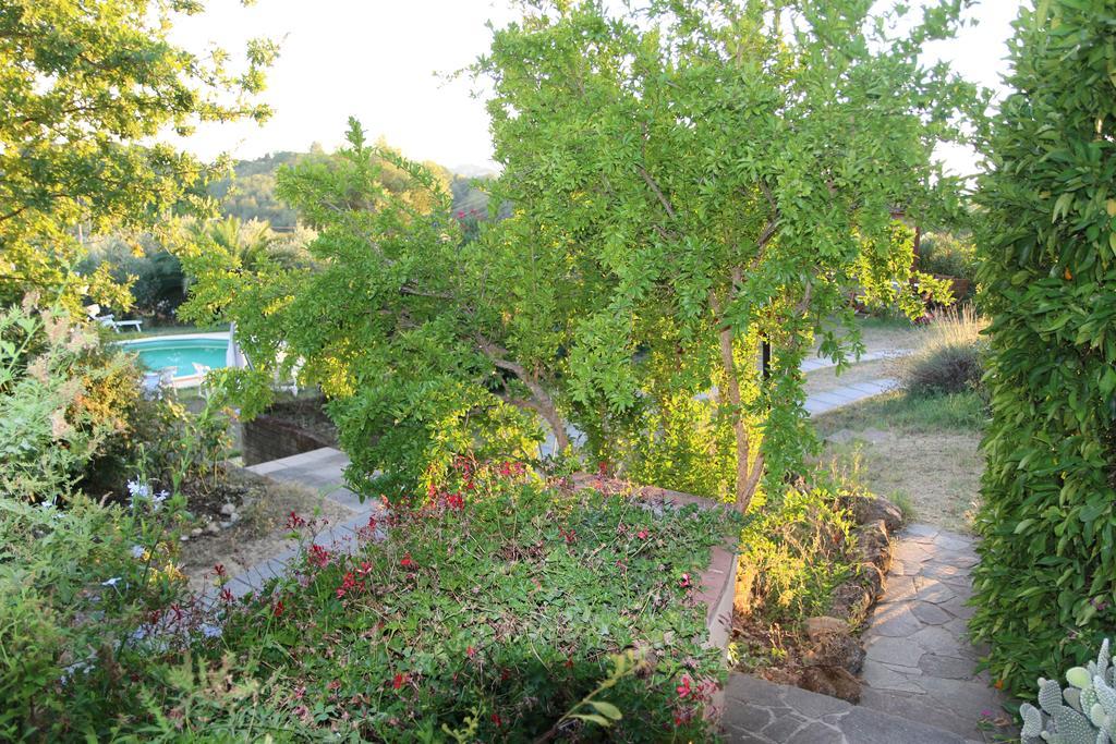 Agriturismo Poggio Al Tesoro Crespina Экстерьер фото