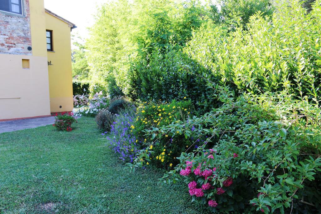 Agriturismo Poggio Al Tesoro Crespina Экстерьер фото